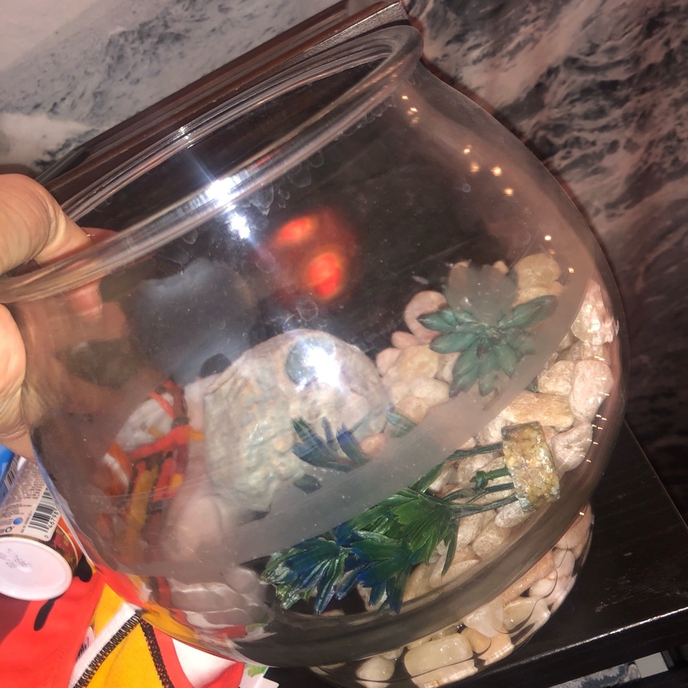 Fishbowl kit